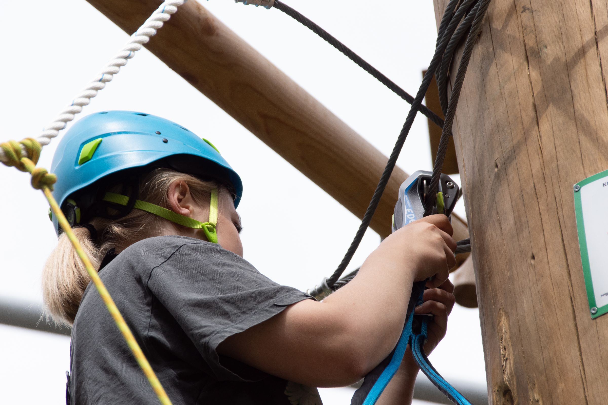 Zimmer Keller 31 156